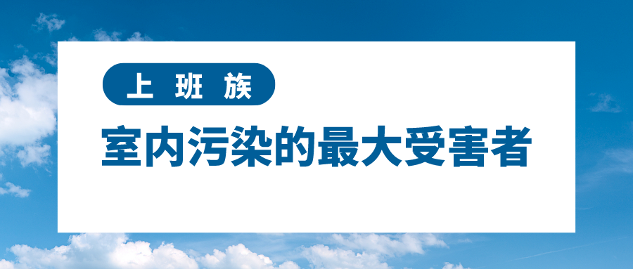 上班族 室内污染的最大受害者
