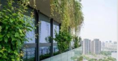 两会聚焦：超低能耗建筑如何引领中国绿色建筑革命？